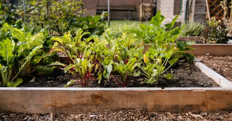 Calendario del giardinaggio mese per mese: cosa fare in giardino durante l’anno e come seguire le stagioni