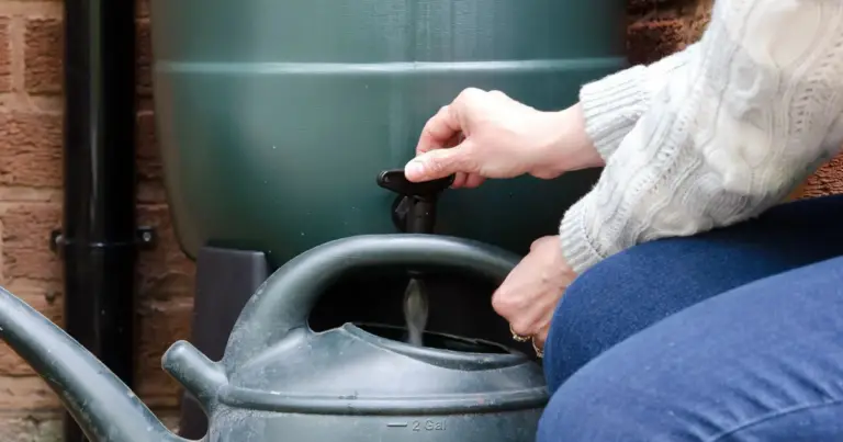 Raccolta dell’acqua piovana domestica: guida completa per un sistema efficiente e sostenibile