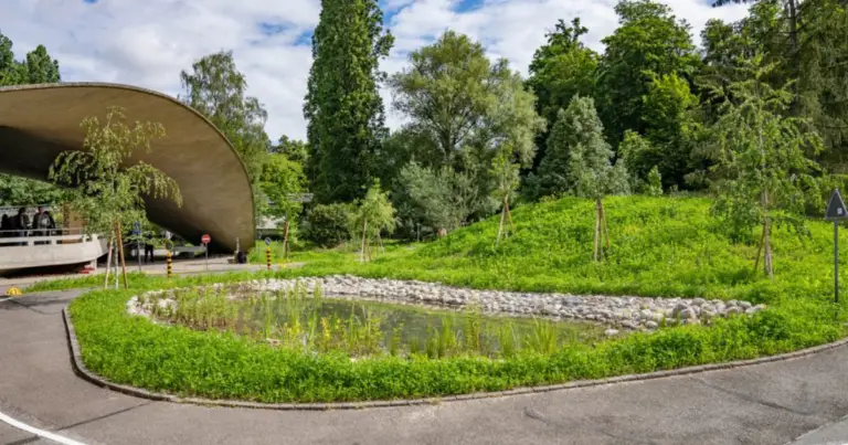 Canalette verdi e gestione dell’acqua piovana in città: come trasformare la pioggia in una risorsa