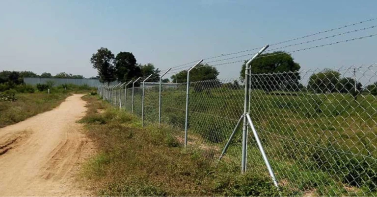 Le recinzioni viventi prima del filo spinato: la scienza agricola dimenticata