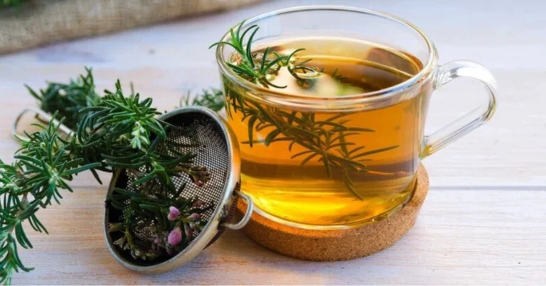 Infuso di rosmarino al mattino: benefici quotidiani e uso consapevole