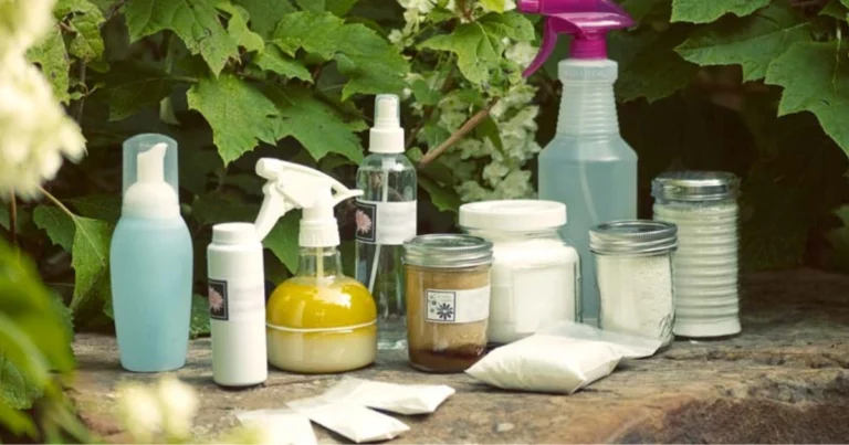 Rimedi veloci per la casa: soluzioni naturali, semplici ed efficaci