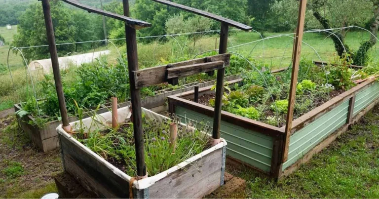 Orto rialzato autoinnaffiante: guida completa per coltivare con meno acqua e meno fatica