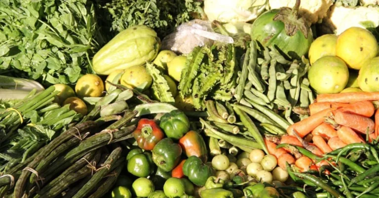 Ortaggi che si proteggono a vicenda: guida completa alle consociazioni in giardino