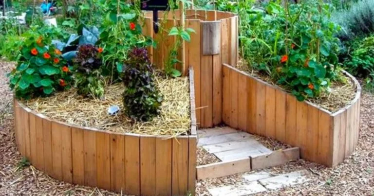 Costruire un giardino keyhole efficiente e produttivo
