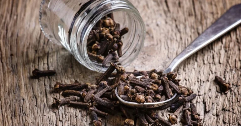 Chiodi di garofano nella vita quotidiana: usi tradizionali, cucina e benessere naturale