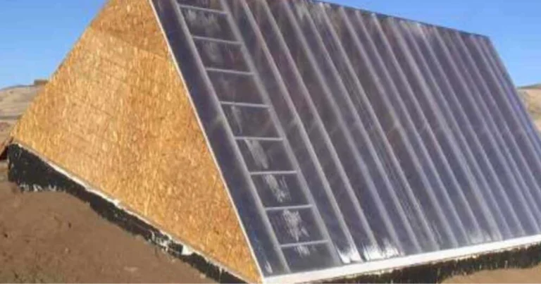 Serra sotterranea Walipini: guida completa a una soluzione sostenibile per coltivare tutto l’anno