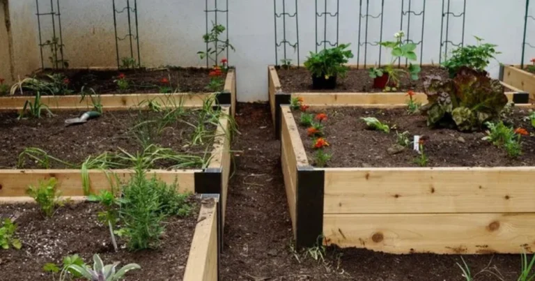 La Strategia Definitiva per il Letto da Giardino Rialzato: Come Trasformare Piccoli Spazi in una Fattoria ad Alta Produzione