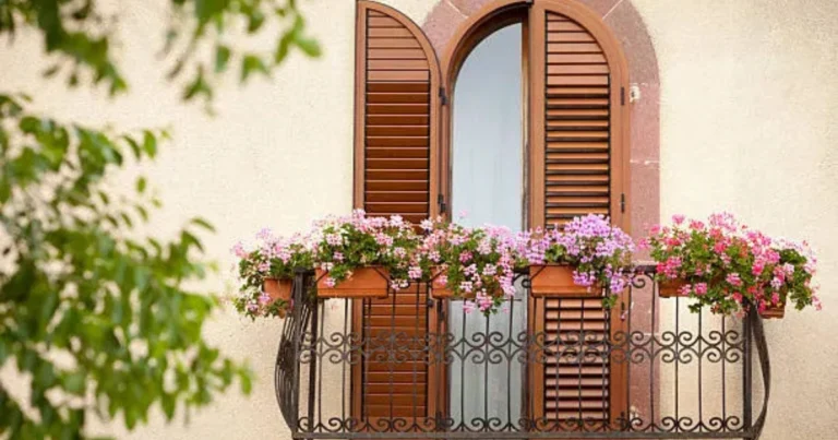 11 Piante Fiorite Ideali per un Balcone Piccolo e Incantevole