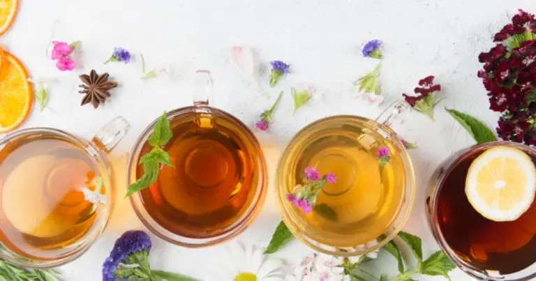 Le tisane giuste in base al bisogno quotidiano: guida completa al benessere naturale