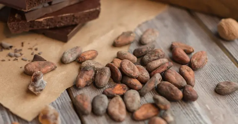 Cioccolato fondente e benessere: come gustarlo con equilibrio e trarne benefici reali