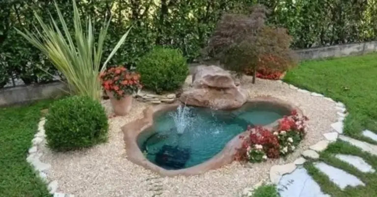 Come realizzare uno stagno da giardino: guida completa e pratica