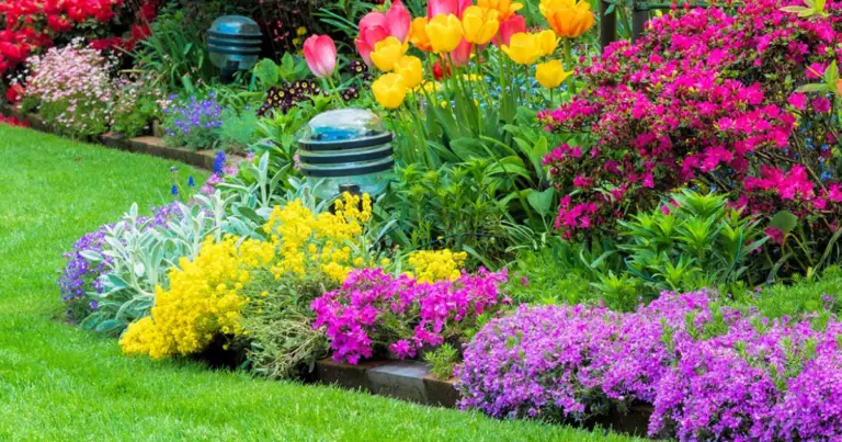 Piante tappezzanti che bloccano le infestanti: guida completa per un giardino più sano e facile da gestire