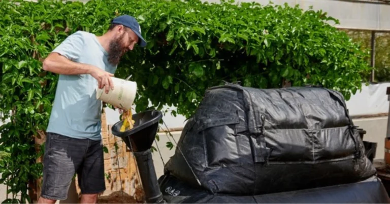 Trasformare i Rifiuti in Energia Gratuita: Come Funziona un Biodigestore Domestico