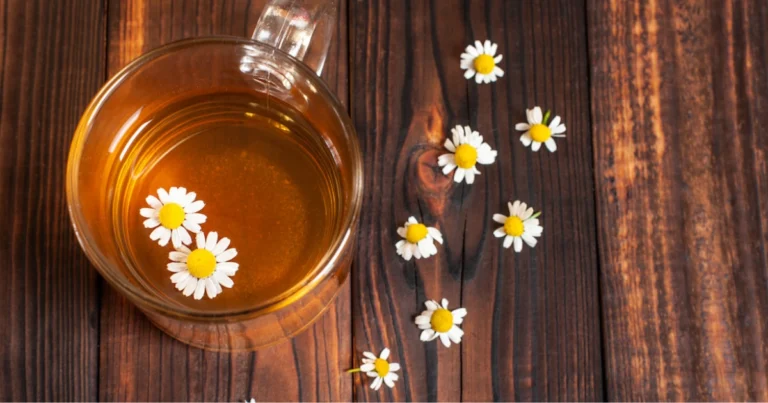 Bevande serali per un rituale rilassante