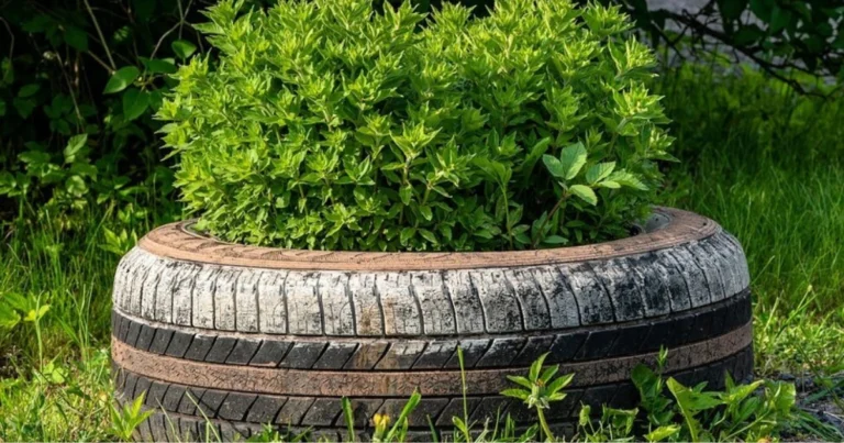Come creare un piccolo stagno con un vecchio pneumatico