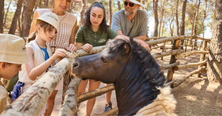 La nostra vita alla fattoria: semplice e completa