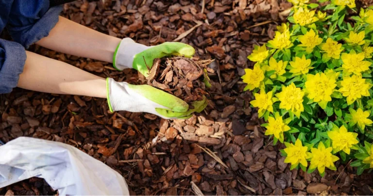 12 copriscopa efficaci per soffocare le erbacce