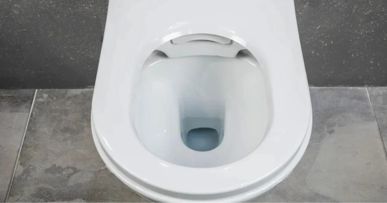 Vinagre nel WC durante la notte: metodo naturale per pulire e deodorare il bagno