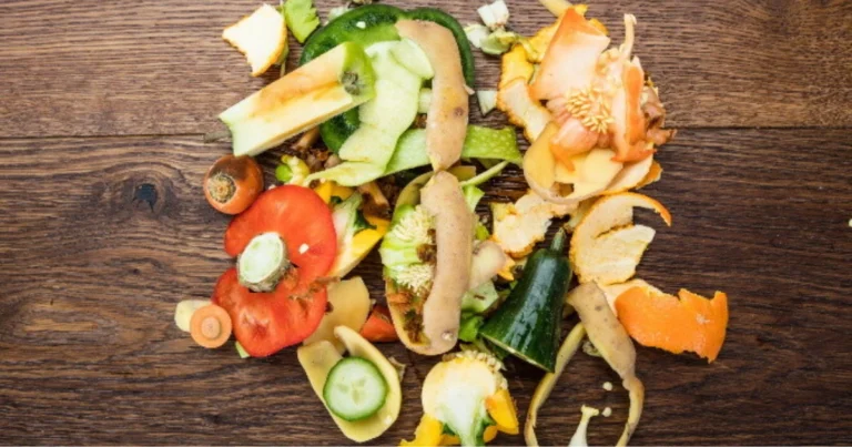 Come cucinare gambi e torsoli delle verdure: guida pratica alla cucina senza sprechi