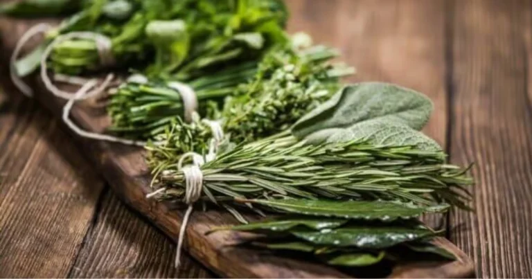 Foglie commestibili dell’orto: come usarle in cucina senza sprechi