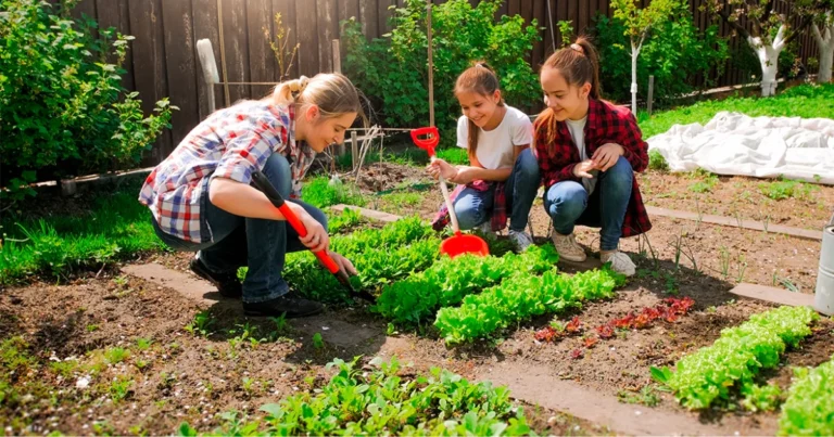 Quanto tempo impiegano le verdure a crescere nell’orto