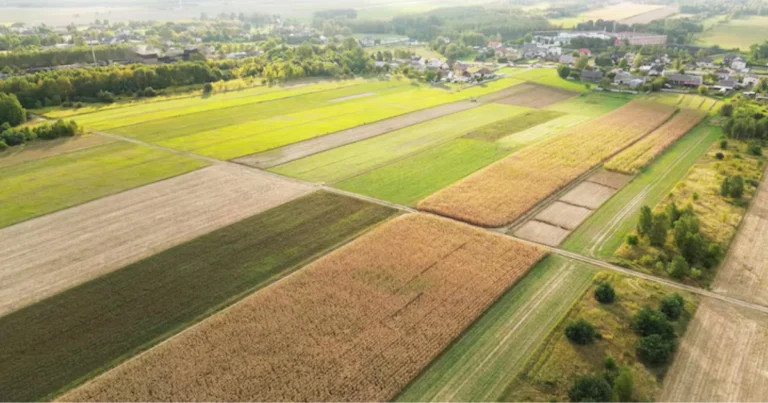 Ettaro e acro: qual è la differenza tra queste unità di misura della superficie