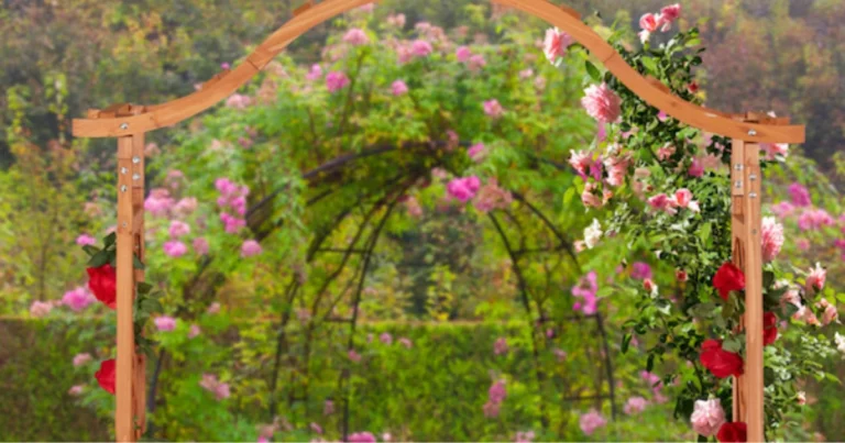 Arco da giardino economico per coltivare ortaggi rampicanti