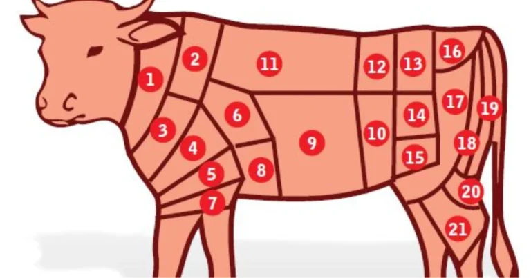 Guida completa ai tagli di carne bovina: come scegliere il pezzo giusto per ogni ricetta