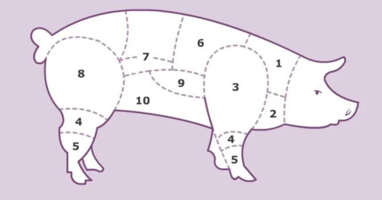 Tagli del maiale: guida completa per scegliere e cucinare ogni parte