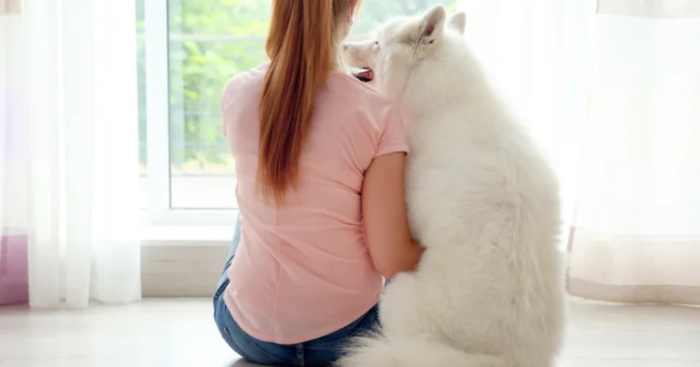 Tutti gli animali provano emozioni: comprendere il loro mondo per rispettarlo davvero