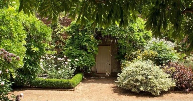 Aprile in giardino: lavori essenziali per piante sane e rigogliose