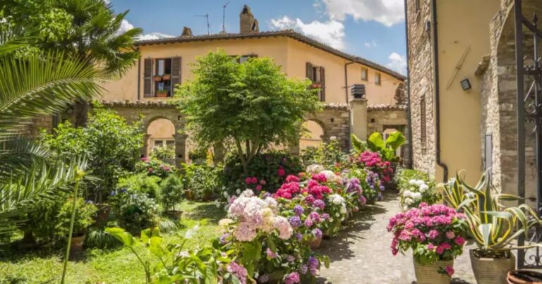 20 Piante Perfette per Creare un Elegante Giardino in Stile Italiano