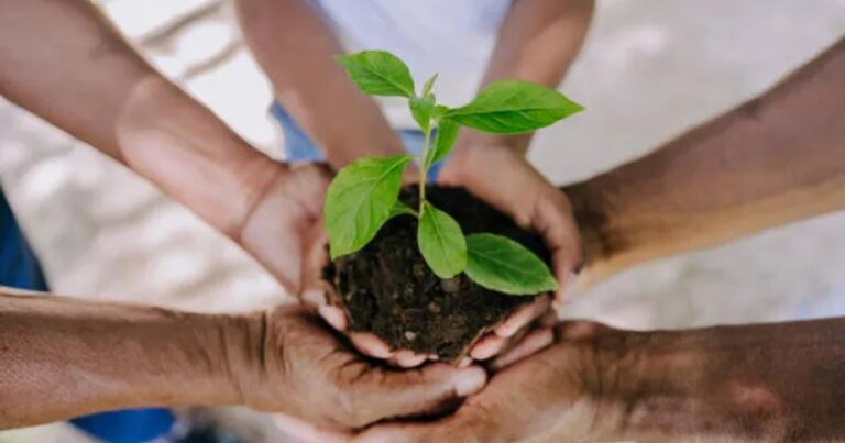Il Suolo del Tuo Giardino Non Dorme Mai: Il Mondo Invisibile che Lavora Ogni Notte