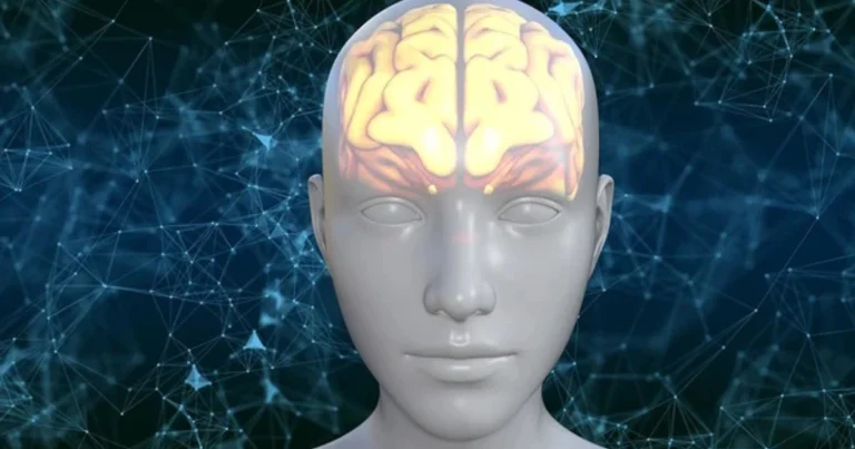 Come mantenere il cervello attivo ogni giorno con abitudini semplici e naturali