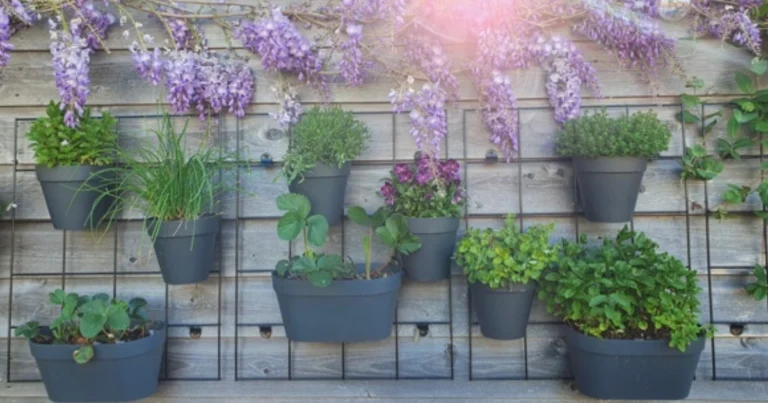 Muro Verde da Balcone: Come Trasformare una Parete Vuota in un Giardino Verticale