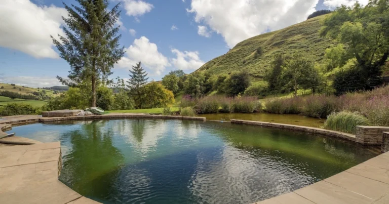 Piscina naturale senza cloro: guida completa alla biopiscina ecologica