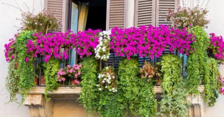 Errori da Evitare con le Piante da Balcone in Estate: Guida Completa per un Balcone Sempre Verde